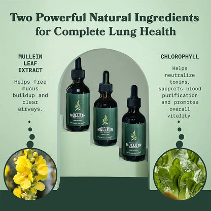 Mullein & Chlorophyll Extract