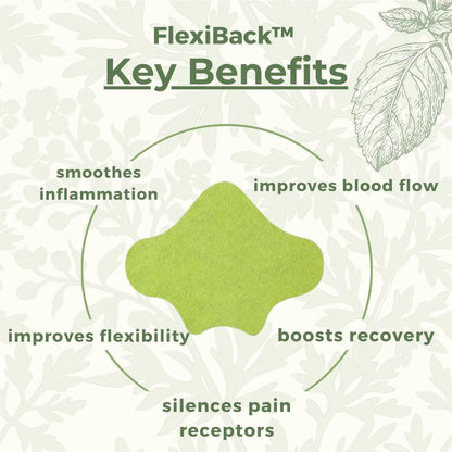 FlexiBack™️ – Natural Back Pain Patches