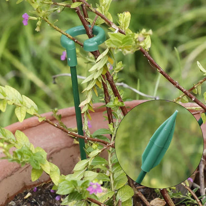 Plant Supports