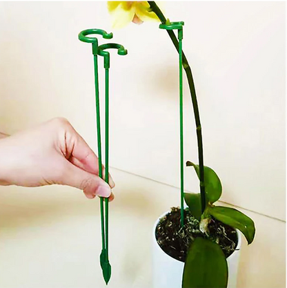 Plant Supports